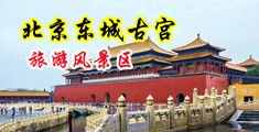 欧美日小小逼逼逼少妇挤奶子黑逼大吊中国北京-东城古宫旅游风景区